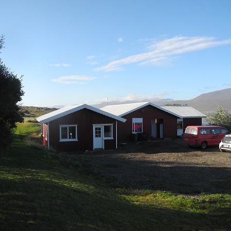 Icelandhorsetours - Helluland Saudarkrokur Εξωτερικό φωτογραφία