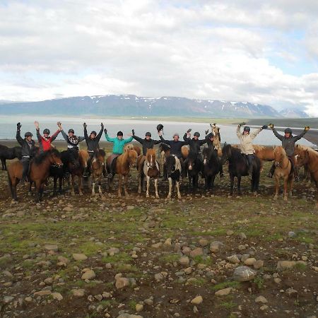 Icelandhorsetours - Helluland Saudarkrokur Εξωτερικό φωτογραφία