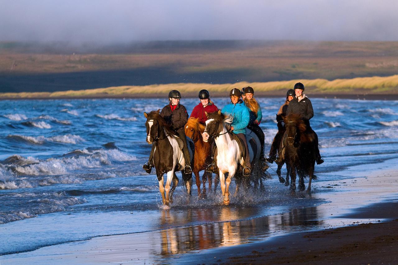 Icelandhorsetours - Helluland Saudarkrokur Εξωτερικό φωτογραφία