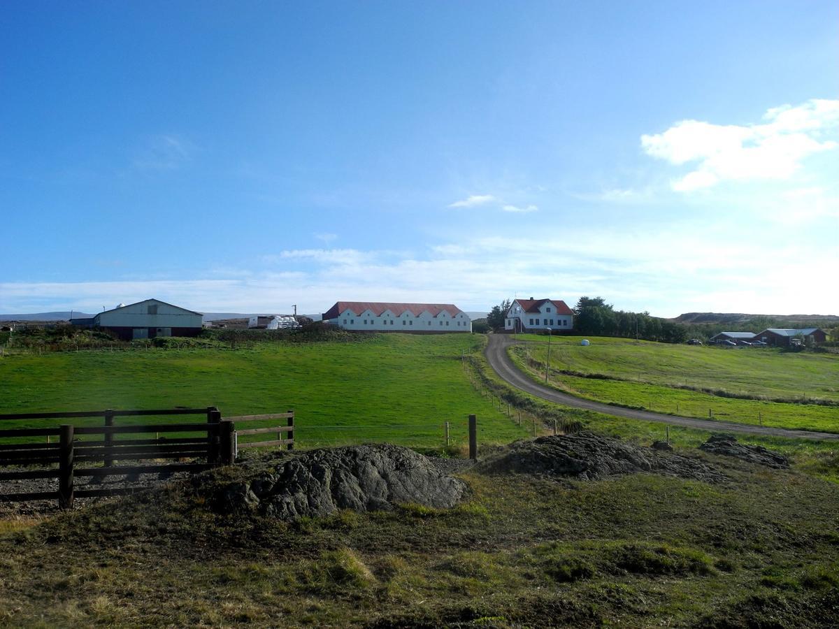 Icelandhorsetours - Helluland Saudarkrokur Εξωτερικό φωτογραφία