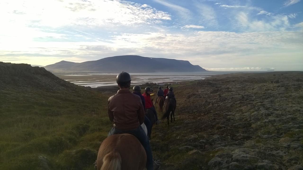 Icelandhorsetours - Helluland Saudarkrokur Εξωτερικό φωτογραφία