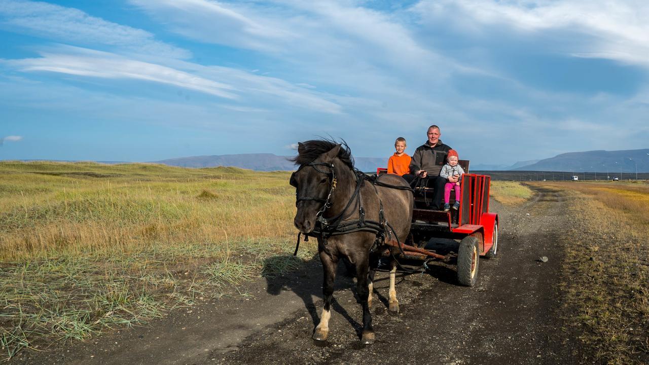 Icelandhorsetours - Helluland Saudarkrokur Εξωτερικό φωτογραφία