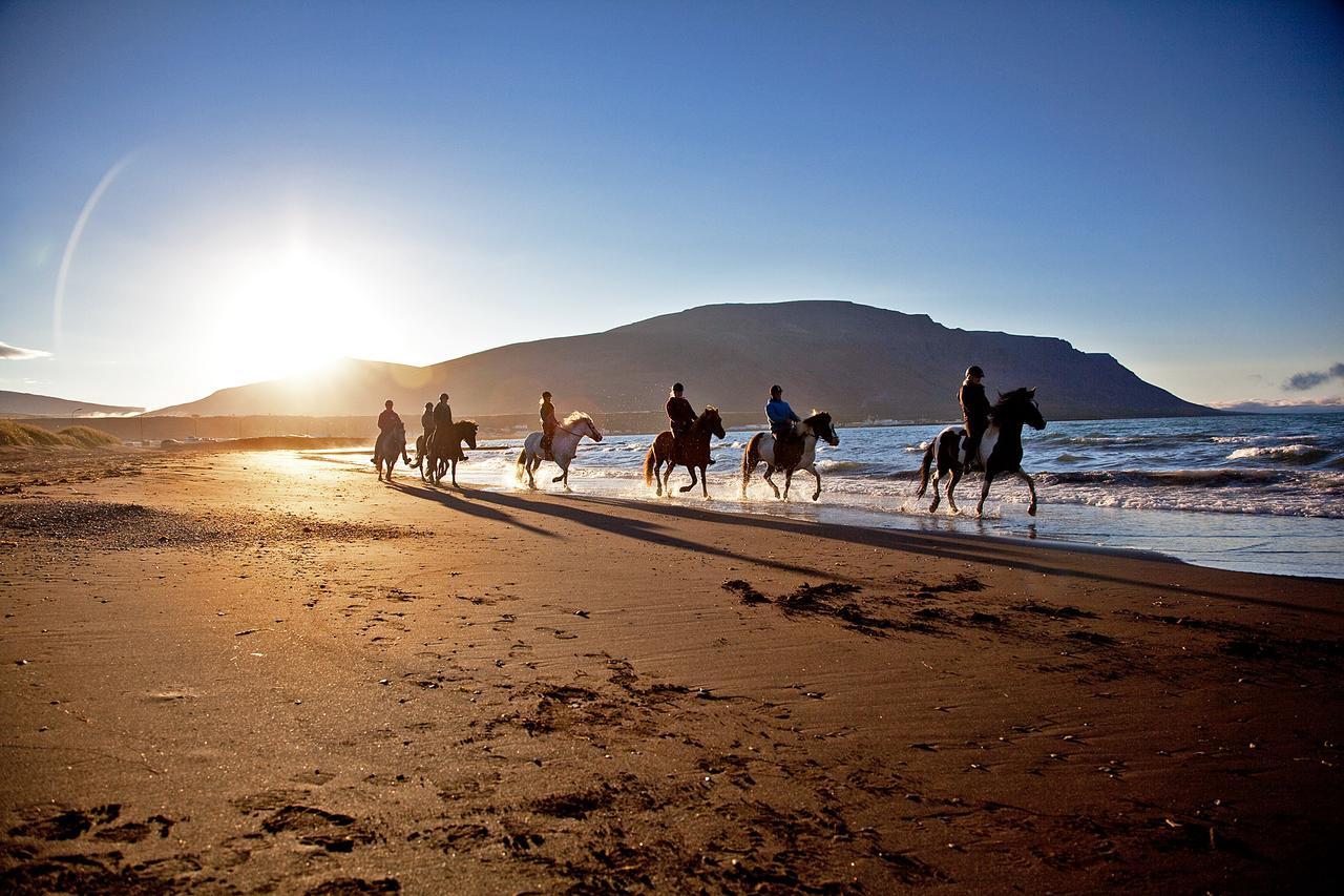 Icelandhorsetours - Helluland Saudarkrokur Εξωτερικό φωτογραφία