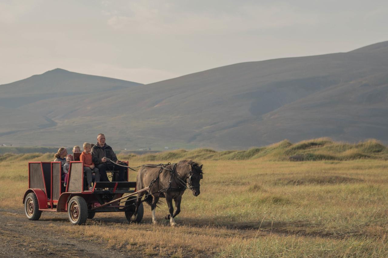 Icelandhorsetours - Helluland Saudarkrokur Εξωτερικό φωτογραφία