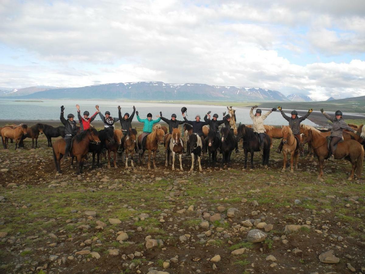 Icelandhorsetours - Helluland Saudarkrokur Εξωτερικό φωτογραφία